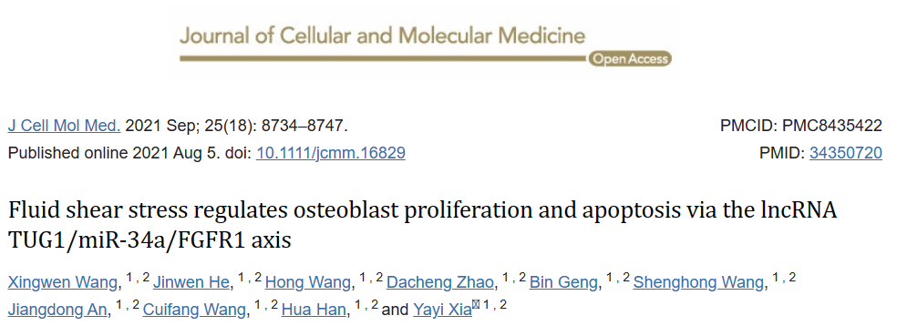 流體剪切應力通過 lncRNA TUG1/miR-34a/FGFR1 軸調(diào)控成骨細胞增殖和凋亡