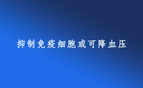 抑制免疫細胞或可降血壓
